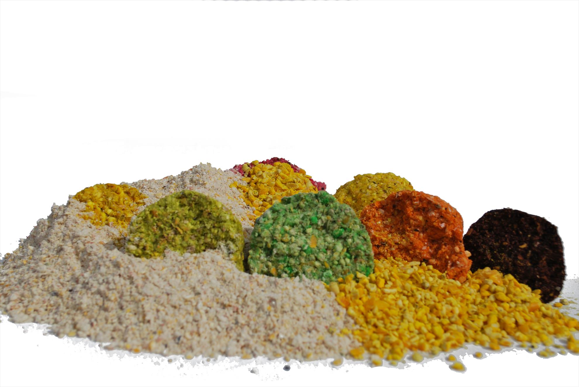 AUGUST 2013 - snz-928.jpg